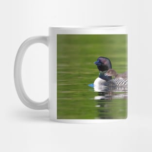 Bucky! - Common Loon with chick Mug